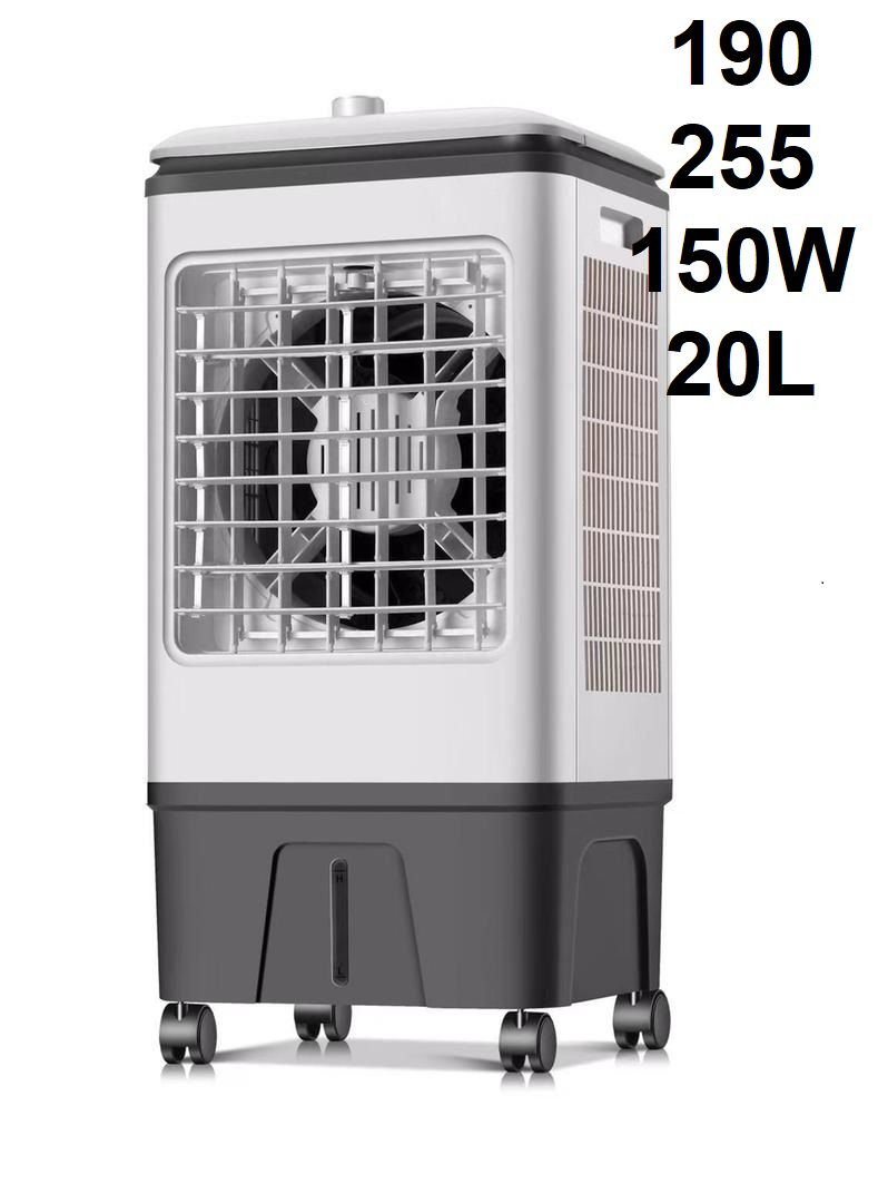 WhatsApp Image 2024-10-06 at 3.50.48 PM