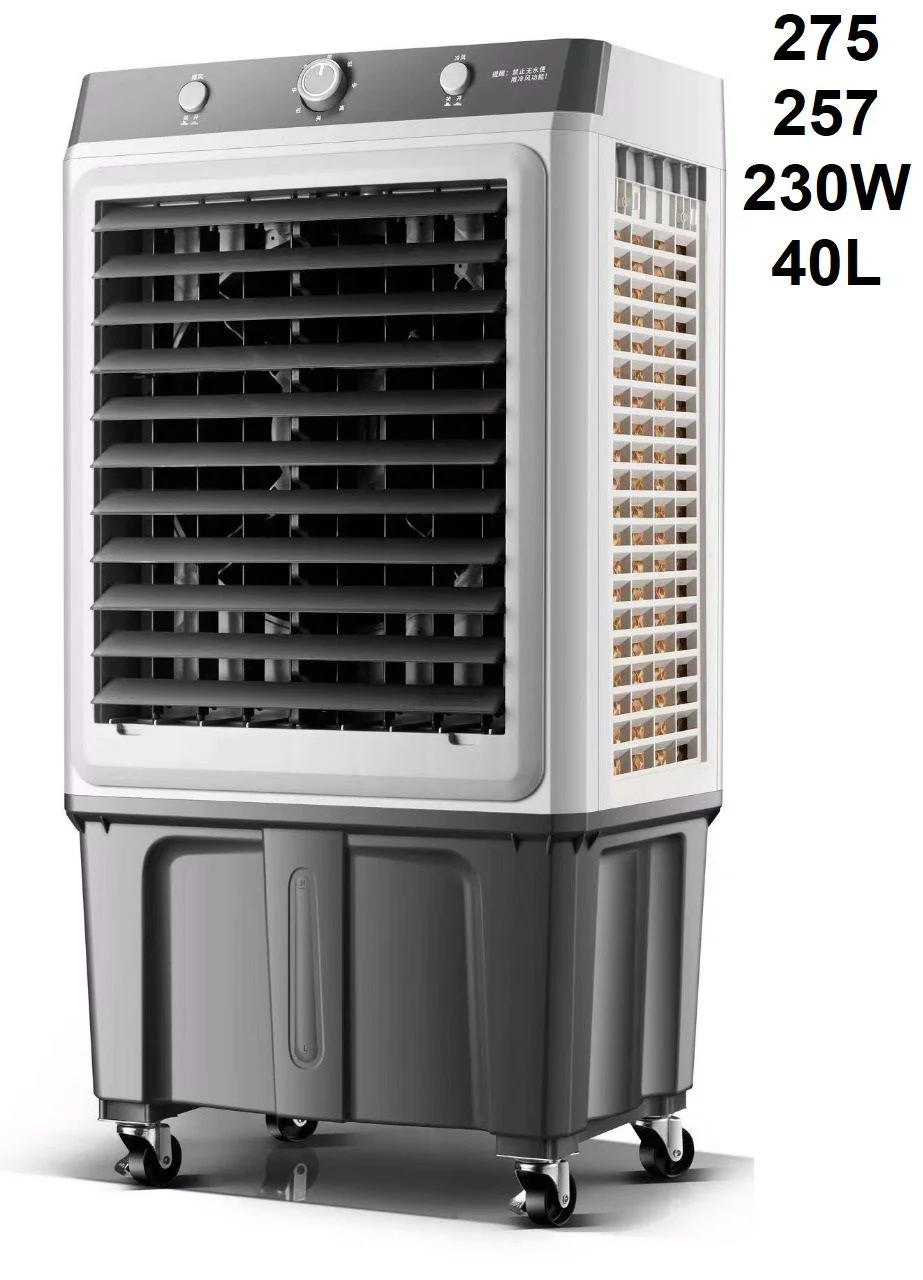 WhatsApp-Image-2024-10-06-at-3.50.50-PM